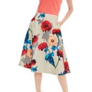 Banana Republic Daisy Skirt